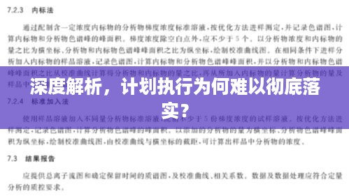 深度解析，计划执行为何难以彻底落实？