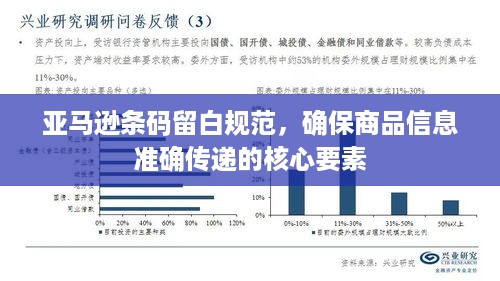 亚马逊条码留白规范，确保商品信息准确传递的核心要素