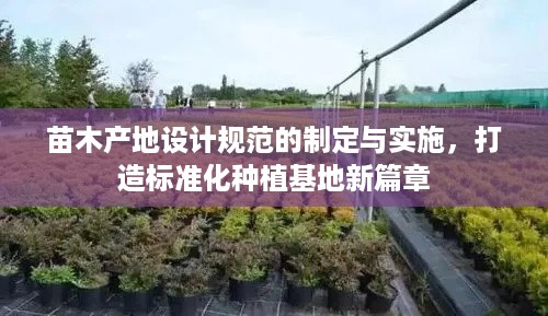 苗木产地设计规范的制定与实施，打造标准化种植基地新篇章