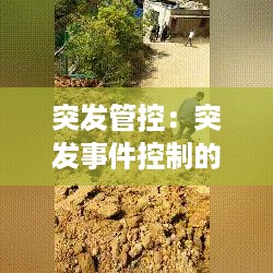 突发管控：突发事件控制的基本原则和流程 