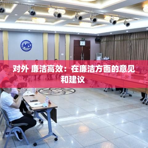 对外 廉洁高效：在廉洁方面的意见和建议 