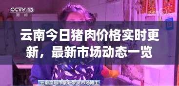 云南今日猪肉价格实时更新，最新市场动态一览