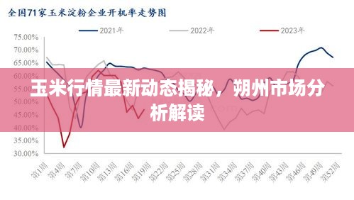 玉米行情最新动态揭秘，朔州市场分析解读