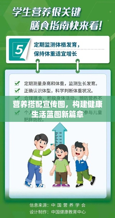 营养搭配宣传图，构建健康生活蓝图新篇章
