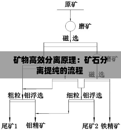 矿物高效分离原理：矿石分离提纯的流程 