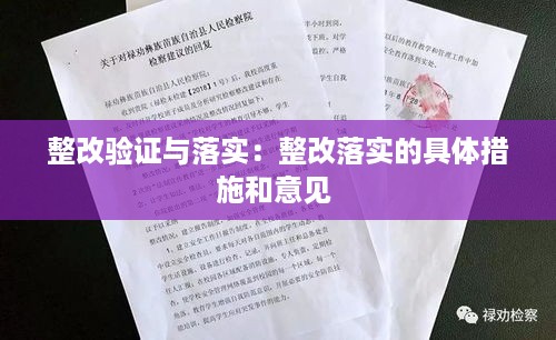 整改验证与落实：整改落实的具体措施和意见 