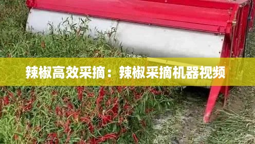 辣椒高效采摘：辣椒采摘机器视频 