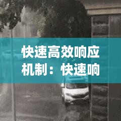 快速高效响应机制：快速响应高效执行 