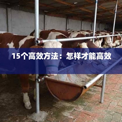 15个高效方法：怎样才能高效 