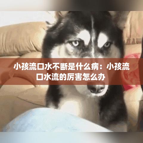展翅欲飞 第2页