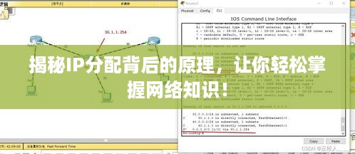 揭秘IP分配背后的原理，让你轻松掌握网络知识！
