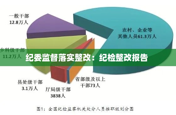 纪委监督落实整改：纪检整改报告 