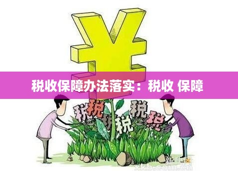 税收保障办法落实：税收 保障 