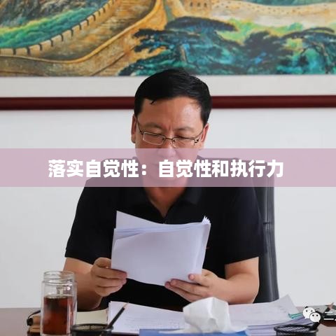 落实自觉性：自觉性和执行力 