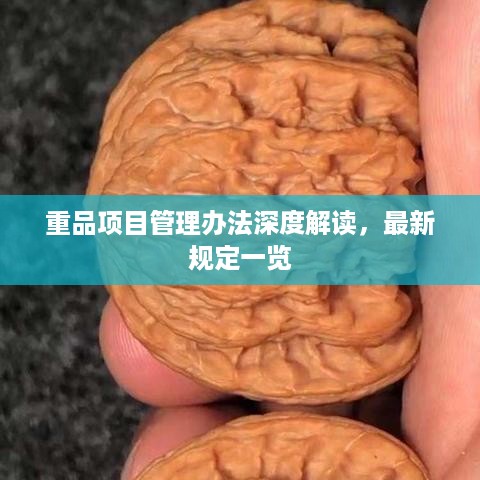 重品项目管理办法深度解读，最新规定一览