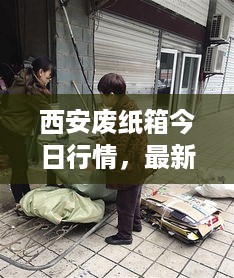 西安废纸箱今日行情，最新报价与市场动态速递