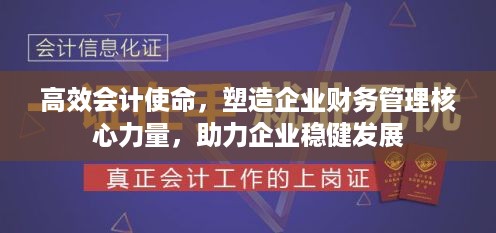 高效会计使命，塑造企业财务管理核心力量，助力企业稳健发展