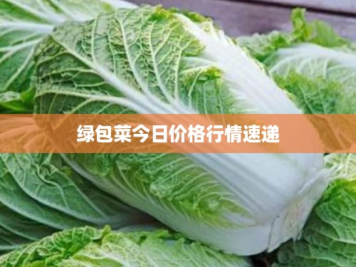 绿包菜今日价格行情速递