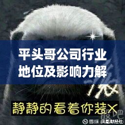 平头哥公司行业地位及影响力解析，揭秘其在业界的影响力与排名