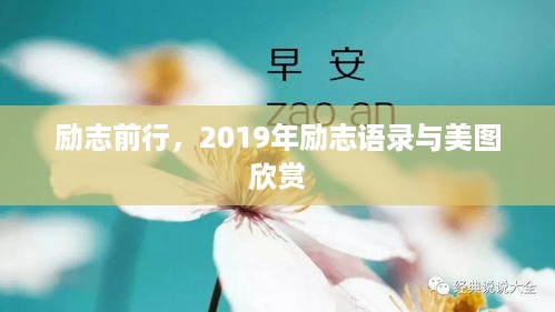 励志前行，2019年励志语录与美图欣赏