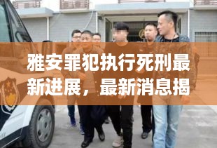 雅安罪犯执行死刑最新进展，最新消息揭示执行过程与细节