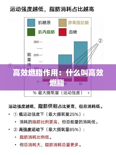 高效燃脂作用：什么叫高效燃脂 