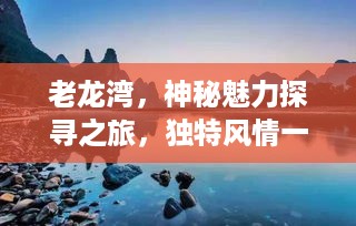 老龙湾，神秘魅力探寻之旅，独特风情一览无余——魅力宣传口号火热来袭！