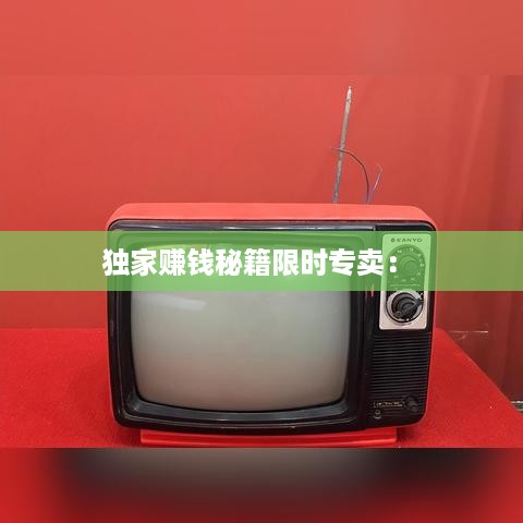 独家赚钱秘籍限时专卖： 