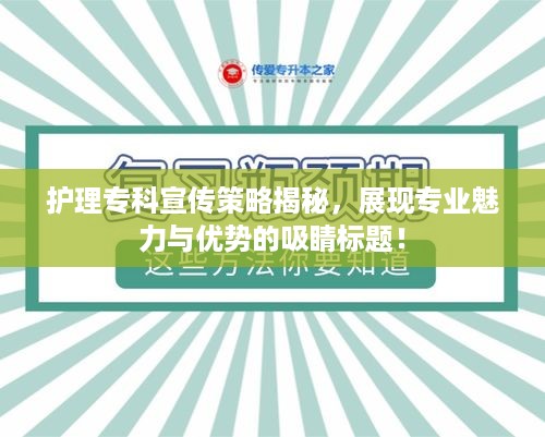 护理专科宣传策略揭秘，展现专业魅力与优势的吸睛标题！