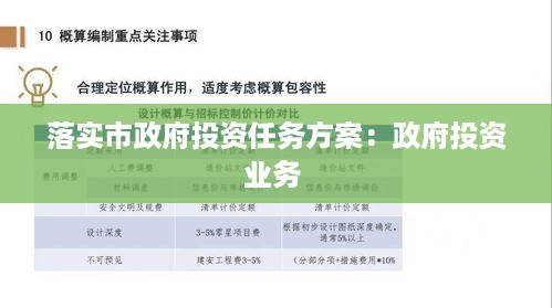 落实市政府投资任务方案：政府投资业务 