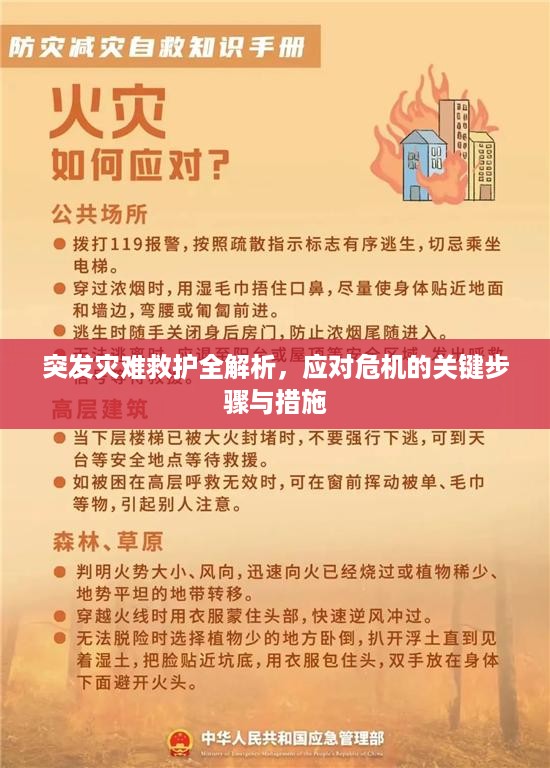 突发灾难救护全解析，应对危机的关键步骤与措施