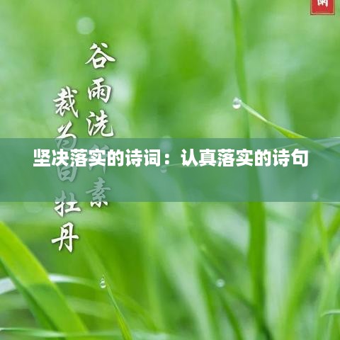 坚决落实的诗词：认真落实的诗句 