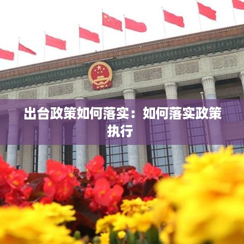 出台政策如何落实：如何落实政策执行 