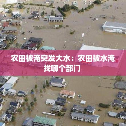 农田被淹突发大水：农田被水淹找哪个部门 