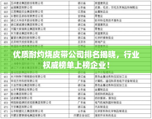 优质耐灼烧皮带公司排名揭晓，行业权威榜单上榜企业！