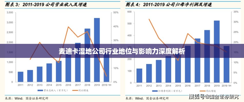 麦迪卡湿地公司行业地位与影响力深度解析