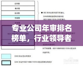 专业公司年审排名榜单，行业领导者一目了然