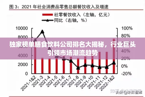 独家榜单膳食饮料公司排名大揭秘，行业巨头引领市场潮流趋势