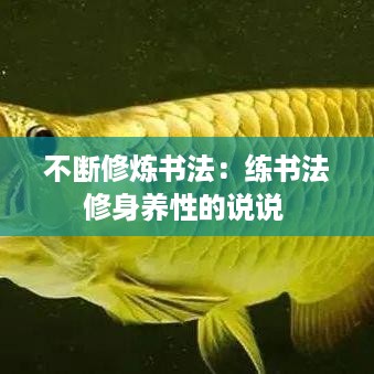 不断修炼书法：练书法修身养性的说说 