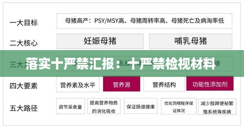 落实十严禁汇报：十严禁检视材料 