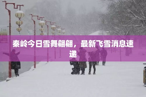 秦岭今日雪舞翩翩，最新飞雪消息速递