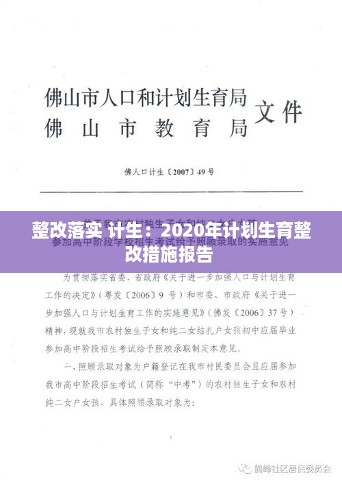 整改落实 计生：2020年计划生育整改措施报告 