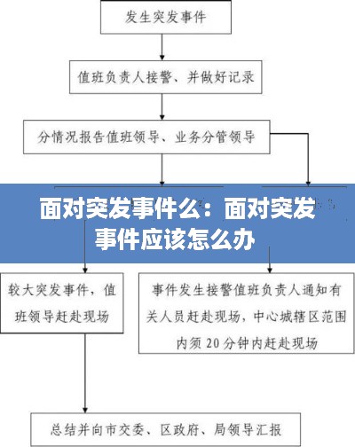 面对突发事件么：面对突发事件应该怎么办 