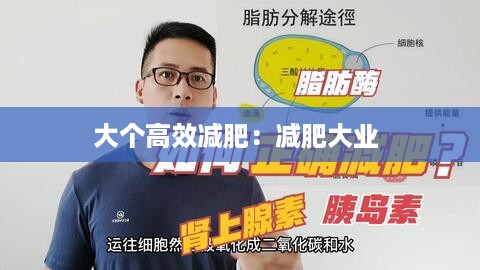 大个高效减肥：减肥大业 