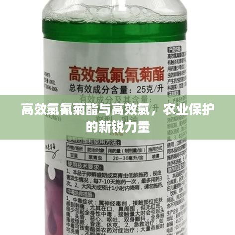 高效氯氰菊酯与高效氯，农业保护的新锐力量