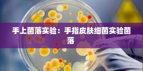 手上菌落实验：手指皮肤细菌实验菌落 