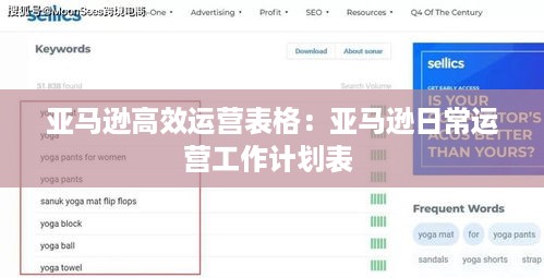 亚马逊高效运营表格：亚马逊日常运营工作计划表 