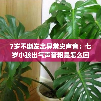 7岁不断发出异常尖声音：七岁小孩出气声音粗是怎么回事 