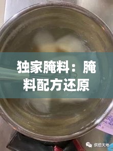 独家腌料：腌料配方还原 