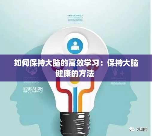 如何保持大脑的高效学习：保持大脑健康的方法 